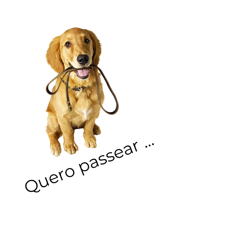 petshop - meu pet figurinhasapp (51).PNG