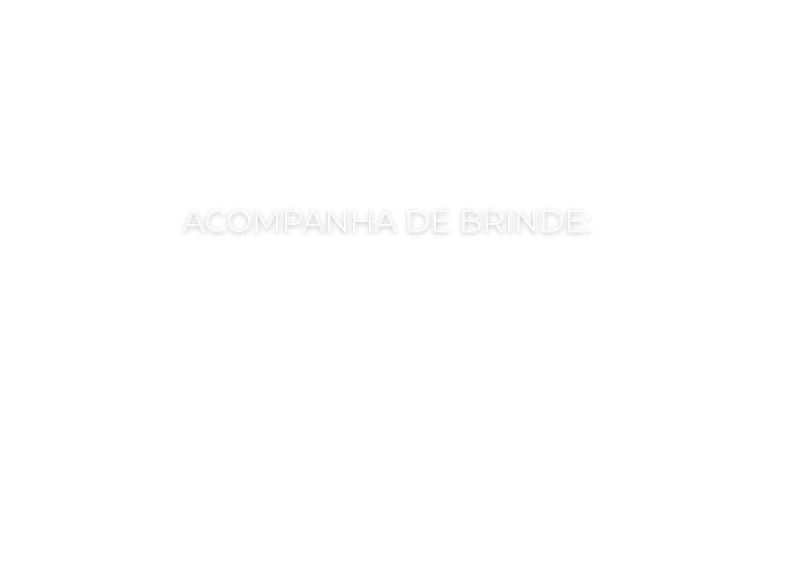 ACOMPANHA DE BRINDE.png