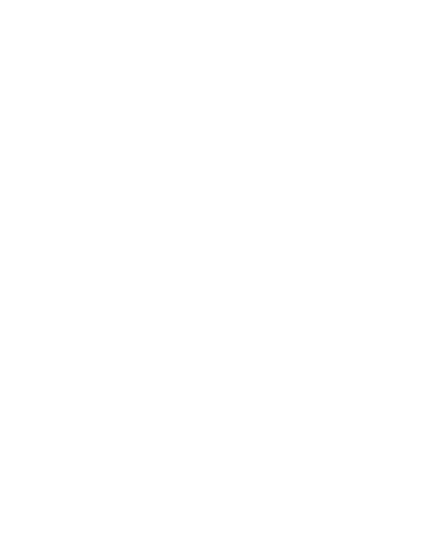 13 (11).png